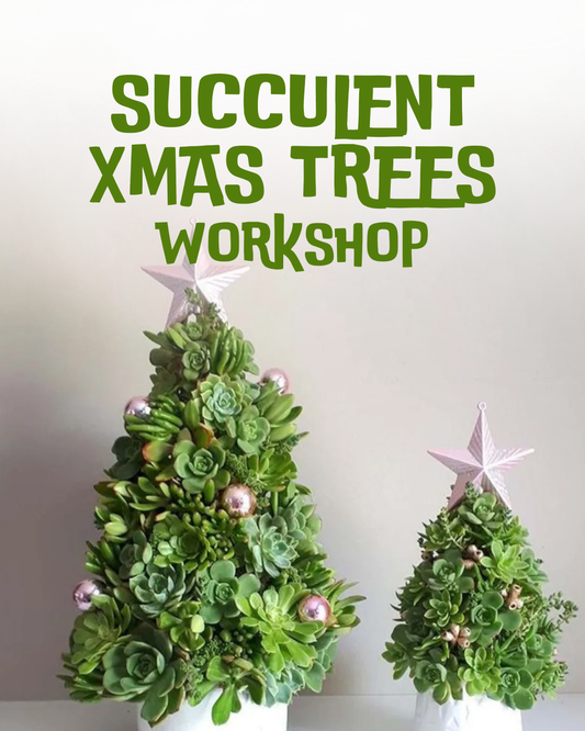 Succulent Christmas Tree Workshop on 7 December