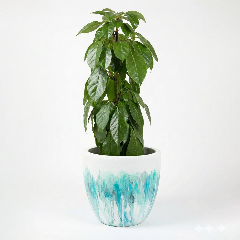 promotional plant pots Art Pots – Kerry Evitts Art